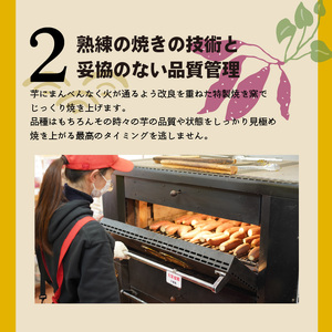 【ジャパンフードセレクション 金賞】 焼き芋 蜜たっぷり！冷やし焼き芋 ひえひえ君 紅はるか 1kg（4～6袋） 芋スイーツ H047-042