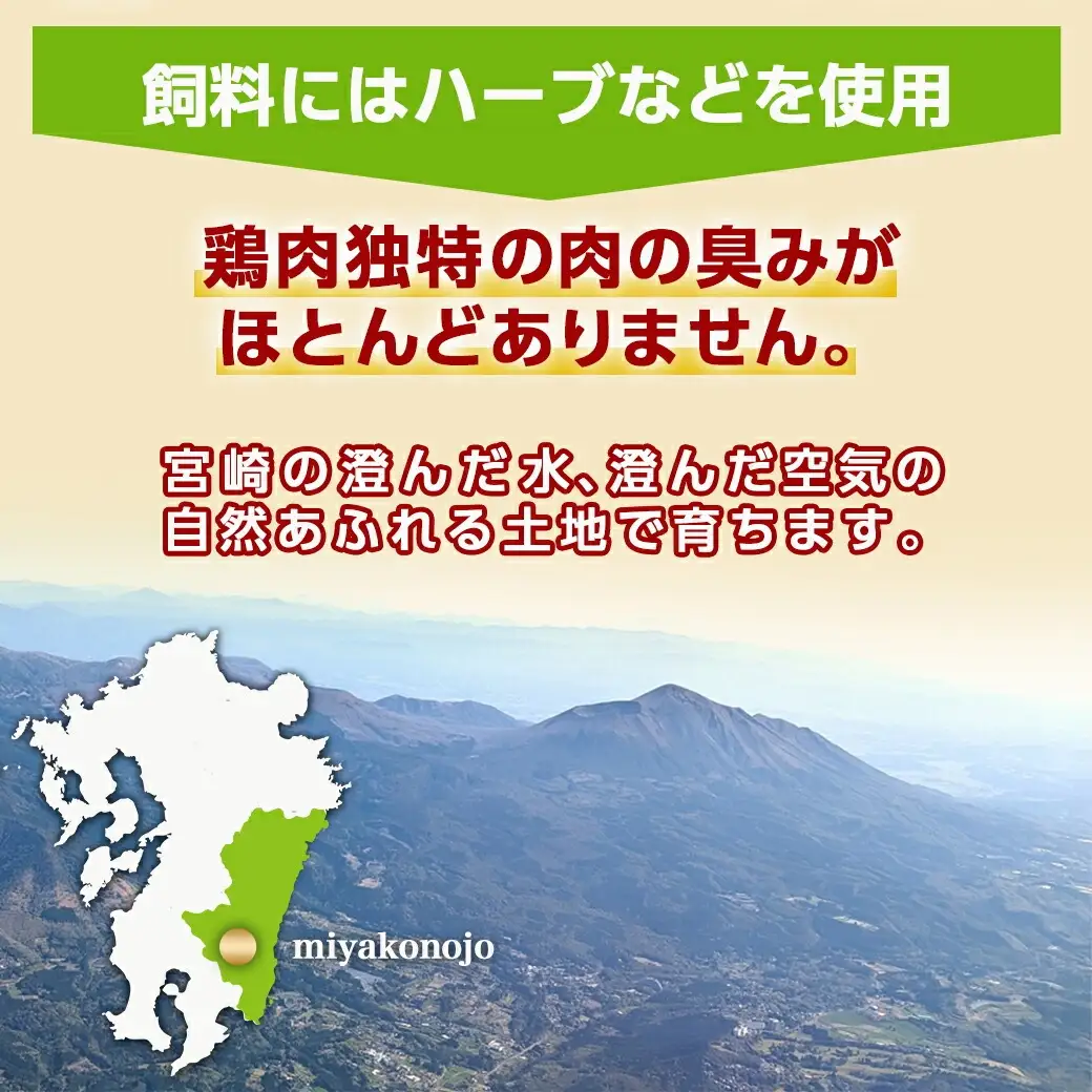 宮崎県産若鶏 5種盛4kgセット〔AA-G302〕_(都城市) 鶏肉 モモ ささみ 手羽元 各1kg 肩小肉 レバー 各500g 冷凍