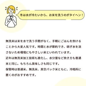 定期便 無洗米 10kg 6ヶ月 配送時期が選べる 京都丹波産 キヌヒカリ 6回定期便 10kg （5kg×2袋） ×6回 計60kg