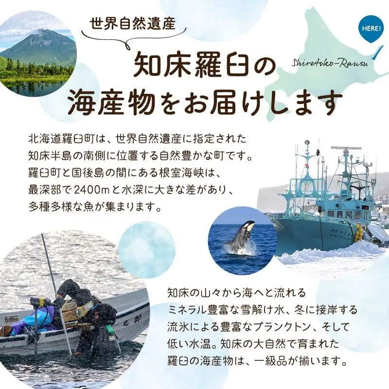 知床羅臼産 貝付ホタテ（2枚ｘ5パック）ほたて バーベキュー バター焼き 北海道