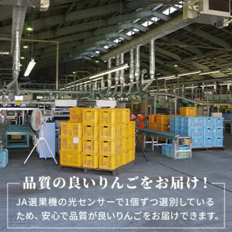 りんご シナノゴールド 約10kg 28～40玉入 リンゴ