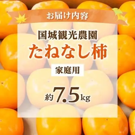 柿【2026年度発送分】国城観光農園のたねなし柿(家庭用・訳あり)約7.5kg【1143474】