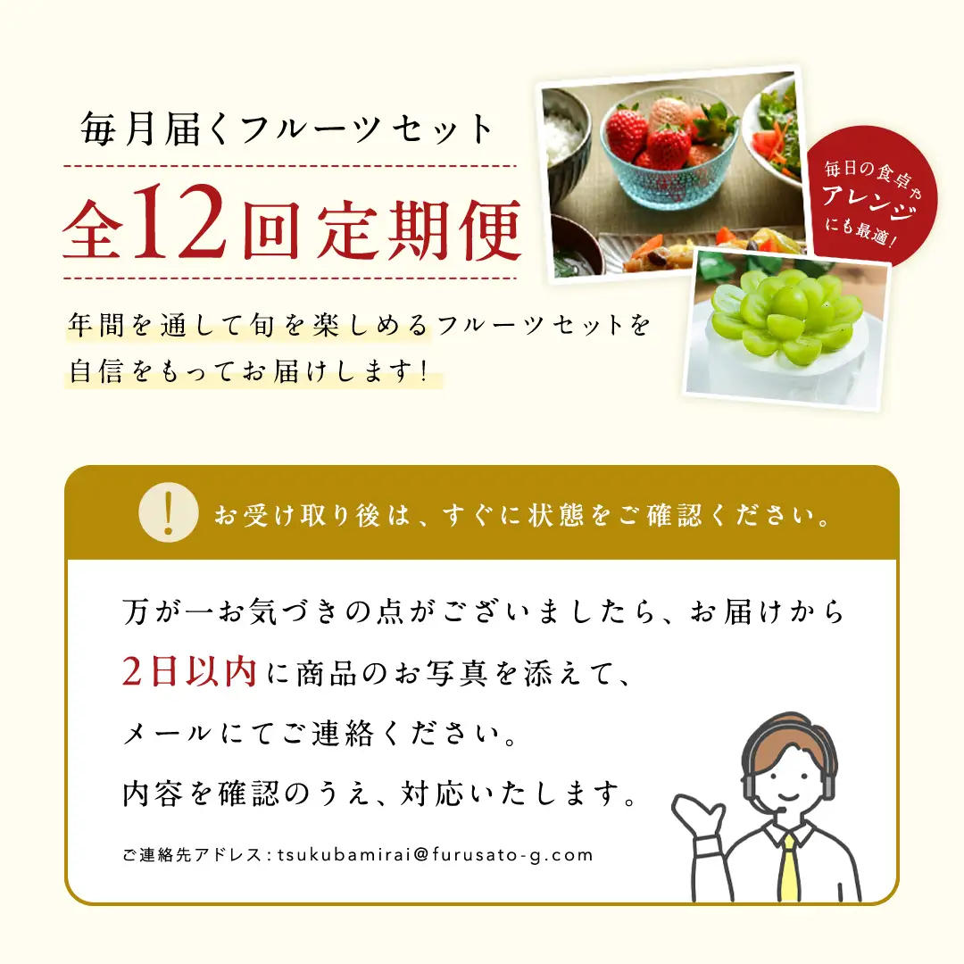 【定期便】旬のフルーツはこれだっぺセット毎月1回1年コース(計12回) フルーツ 果物