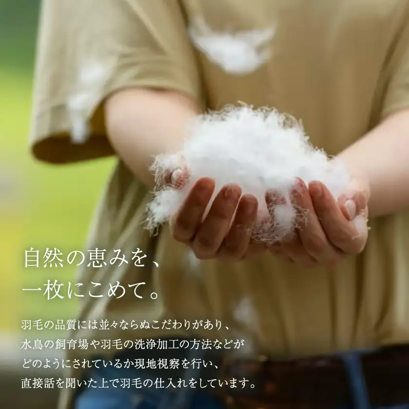 “高品質”にこだわり続けて誕生した羽毛ふとん【ドリブラン】キングサイズ【1142320】