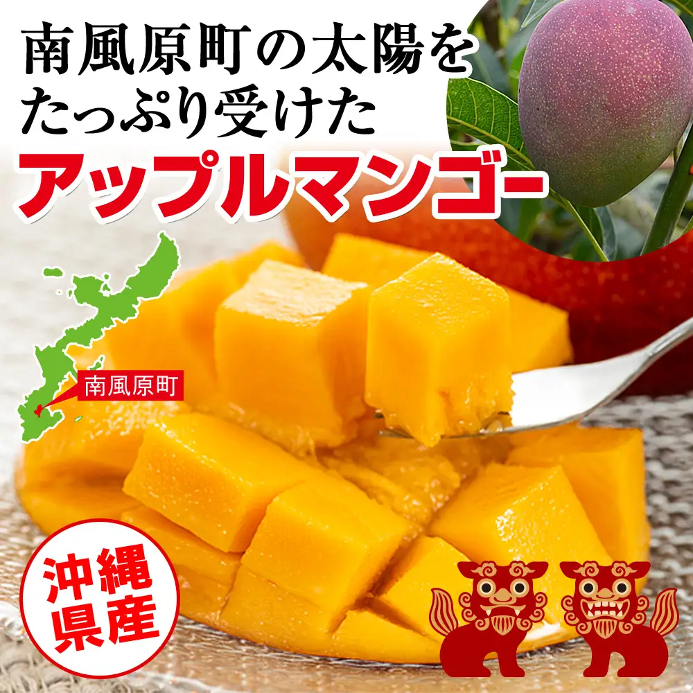 【2027年発送】芳醇な香り とろける食感 沖縄県「優秀賞」マンゴー2kg