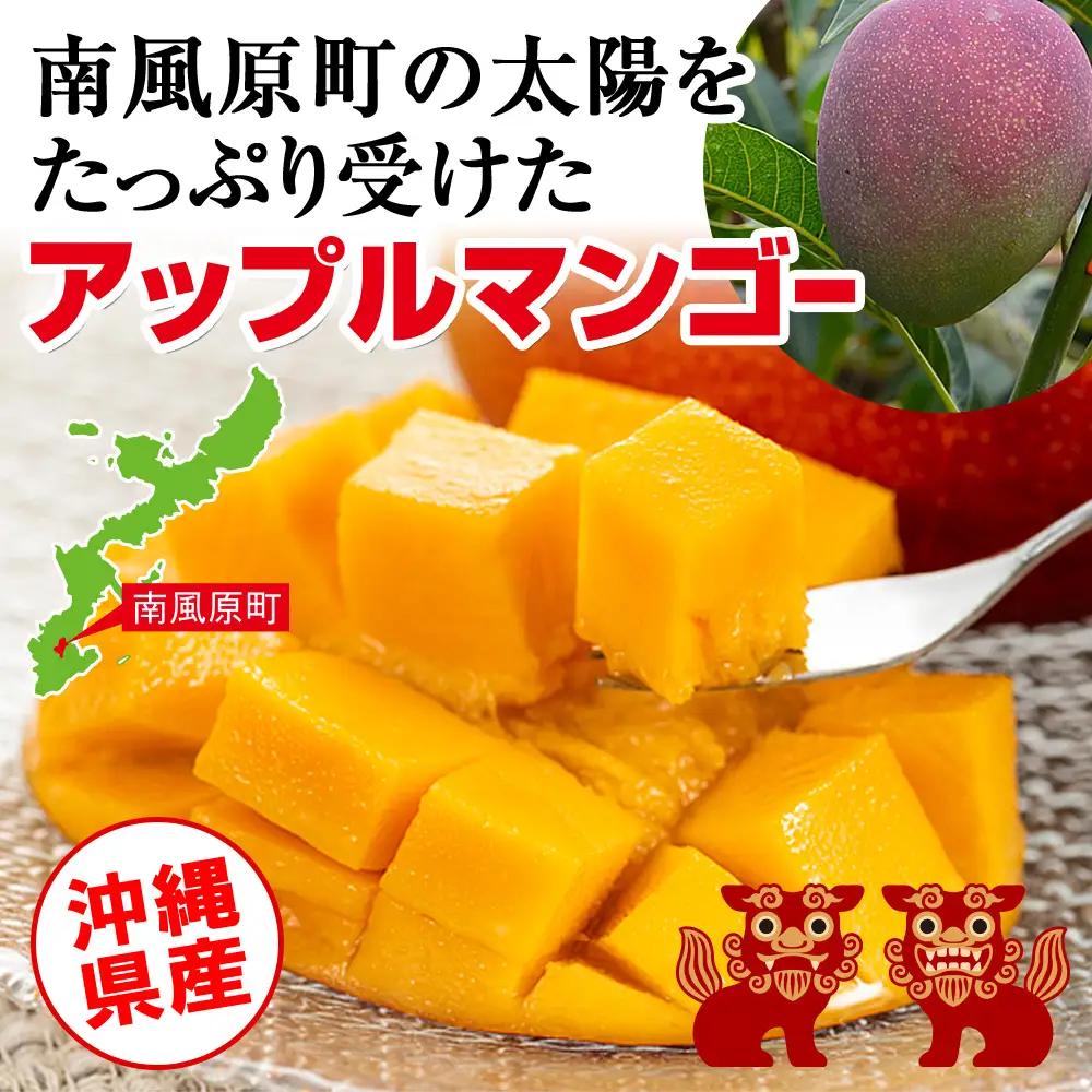 【2027年発送】濃厚な甘さ！とろける食感！沖縄県産マンゴー1kg