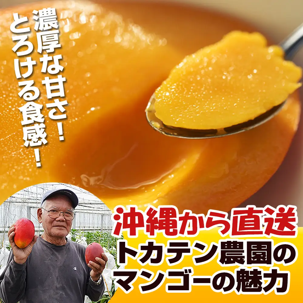 【2027年発送】濃厚な甘さの沖縄県産マンゴー2kg（家庭用）