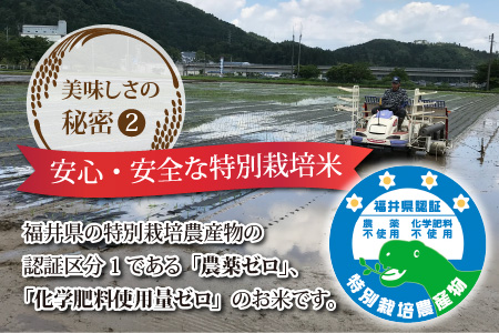 【先行予約】【白米】令和7年度産 永平寺町産 農薬不使用・化学肥料不使用 特別栽培米 コシヒカリ 10kg【10月上旬より順次発送開始予定】１０キロ 10kg 米  米 お米 コメ 送料無料 こしひかり 福井