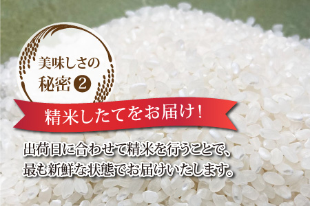 【白米】令和7年度産 永平寺町産 コシヒカリ 10kg１０キロ 10kg 米  米 お米 コメ 送料無料 こしひかり 福井[B-033005]