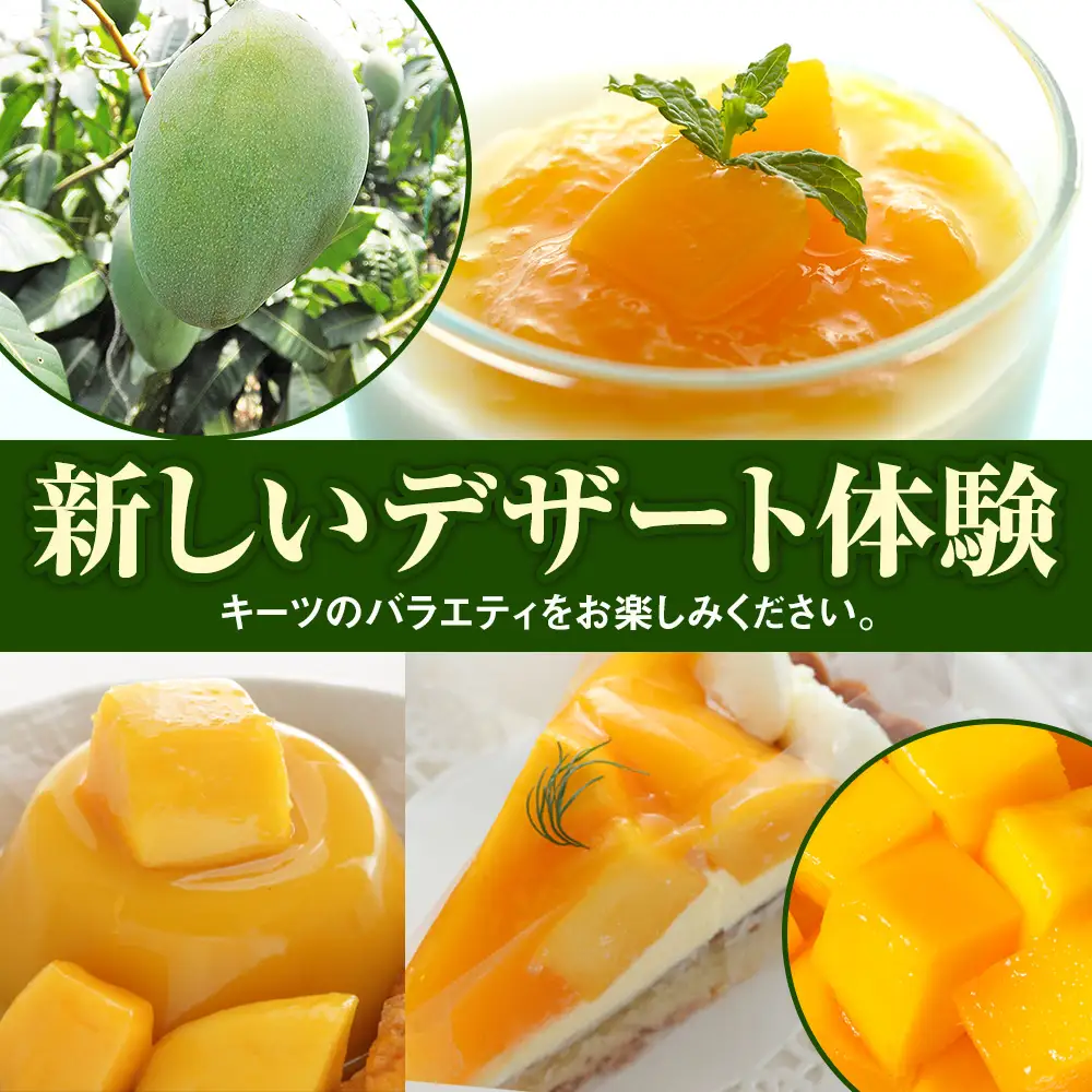 【2027年発送】南風原農園 丹精込めた「キーツマンゴー」2kg