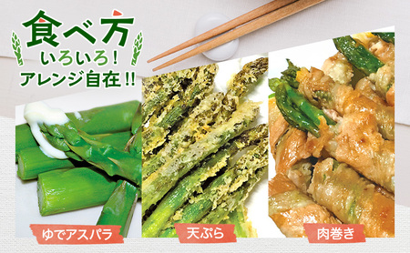 グリーンアスパラ 原農園 朝採り 北海道産 グリーンアスパラ【1kg Mサイズ】【先行予約】