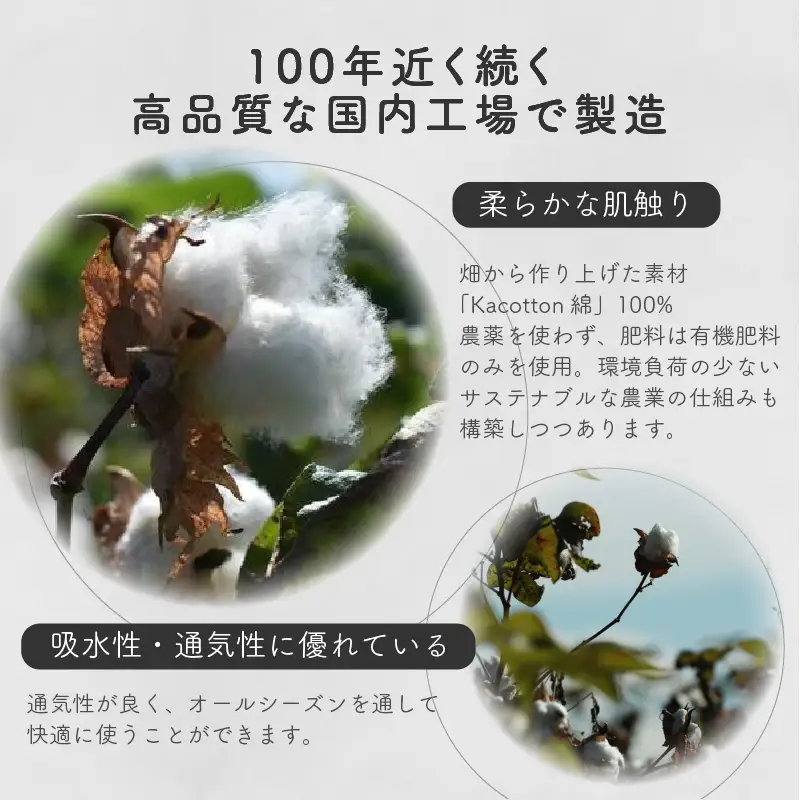 かこっとんクルーソックス(3サイズ5色カラバリ展開)【よりどり2足】【2402T05301】