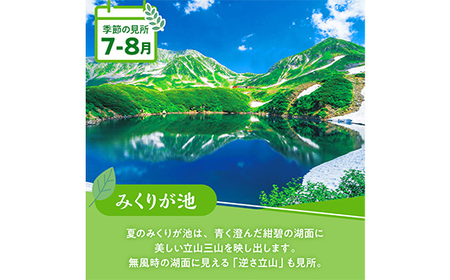 立山黒部アルペンルート ( 立山駅 ～ 室堂駅 ※往復 ) 優待券 立山黒部貫光観光 旅行 券 チケット 体験 トラベル 黒部 富山県 立山町 F6T-779