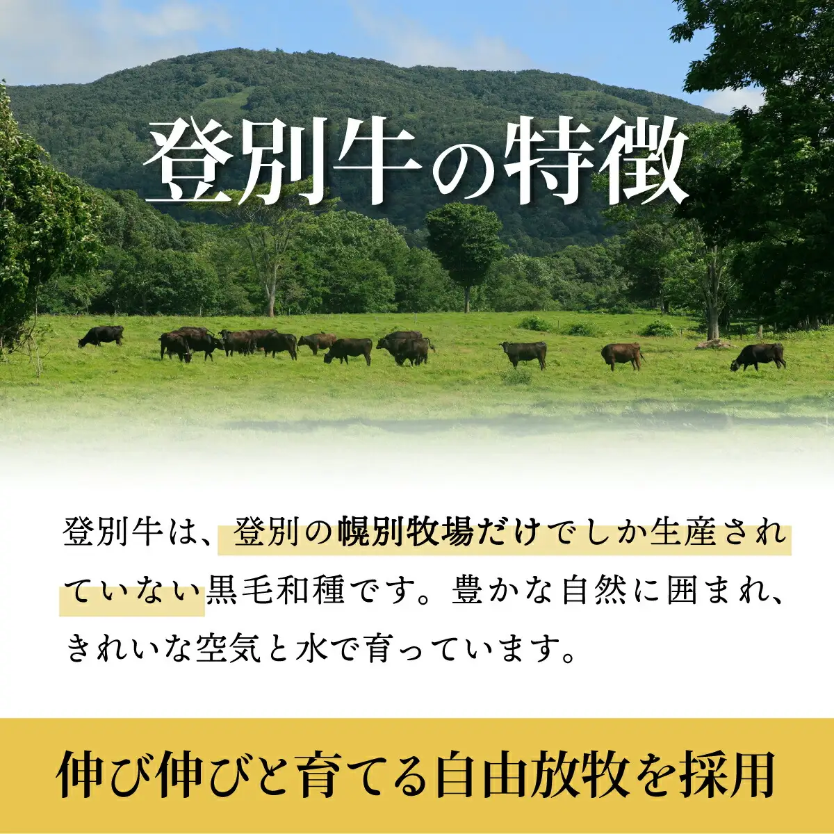 【のぼりべつ豚乳清（ホエー）】はるおのチャーシューと【登別牛100％】ハンバーグセット