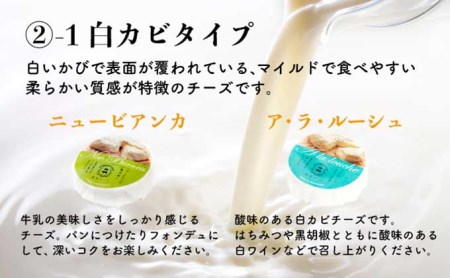酪農館　チーズセット　チーズ 6個 生ハム 100g nr-0196