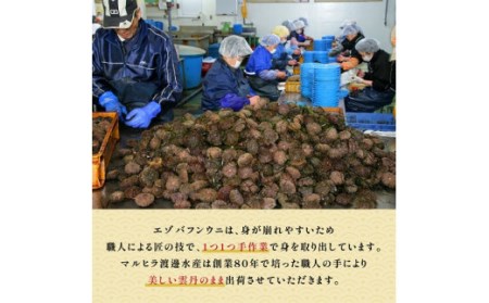 無添加　極上エゾバフンウニ塩水パック 300g（100g×3パック） A 23年6月上旬～8月中旬迄