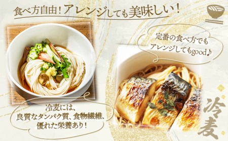 チホク小麦生ひやむぎ 10食セット お届け：7月中旬～9月下旬まで