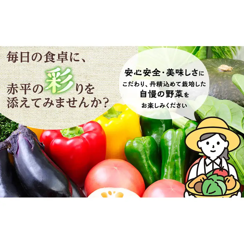 野菜詰合せ 皆菜久留直売所旬の野菜産地直送 野菜詰合せ【4〜6種類】