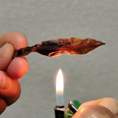 無添加 ホタルイカ素干し 38g×5袋 ホタルイカ イカ 無添加