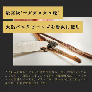 プリン専門店Totto PURIN プリン食べ比べ6個セット