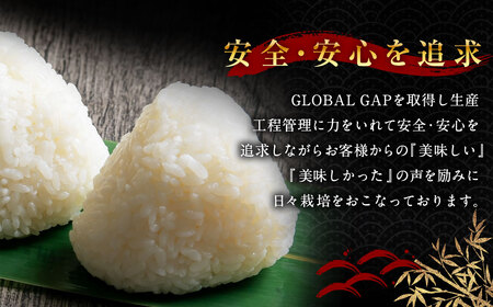 【新米受付・令和8年産米】 新潟県村上市岩船産コシヒカリ  精米2kg×3個セット NA4091