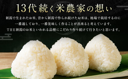 【新米受付・令和8年産米】 新潟県村上市岩船産  大粒でしっかり食感 ゆきん子舞8kg （2kg×4袋） NA4099