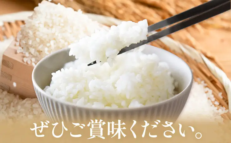 なつほのか 米 2kg《30日以内に出荷予定(土日祝除く)》