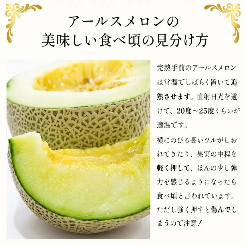 アールスメロン (2玉入り)
