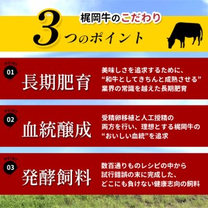 梶岡牛 プレミアムハンバーグ