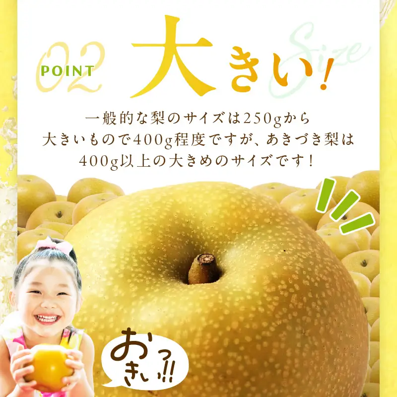 梨／あきづき【先行予約】あきづき梨 5kg（2026年9月中旬～発送）