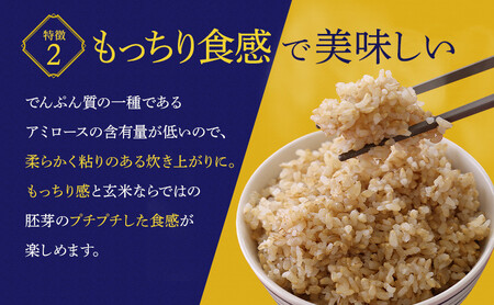 お米 玄米 金のいぶき 玄米 5kg | 米 お米 こめ 玄米 ブランド米 ブランド玄米 玄米食 人気 食物繊維 涌谷町産玄米 ※2024年11月上旬頃より順次発送予定  【aubless015】 