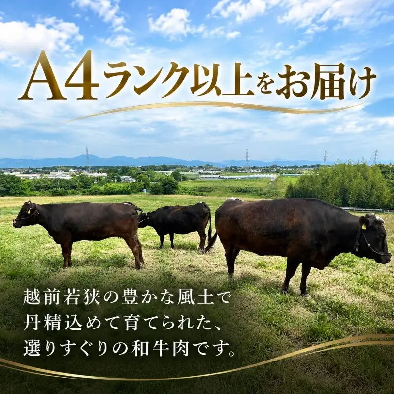 若狭牛 上カルビ焼肉用450g A4ランク以上 若狭牛