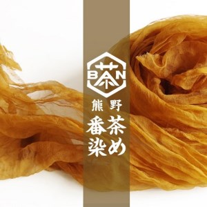 熊野番茶染め　Ｔシャツ　金茶色（チタン媒染）（Mサイズ）【mrm0114-2】