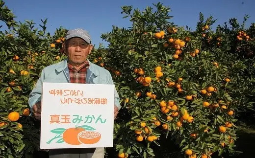 みかん【先行予約】土井さんのみかん(10kg)