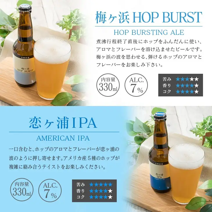 地域限定 人気 クラフトビール 6種 飲み比べ セット 330ml × 6本 国産 食品 お酒 アルコール 飲料 ブルワリー 地ビール 麦酒 テイスト おすすめ パーティー お祝 記念日 ご褒美 お土産 ギフト 詰め合わせ お取り寄せ グルメ 宮崎県 日南市 送料無料_BC73-23