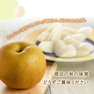 SA3033　酒田産【特選】幸水梨　約3kg(7～9玉入)