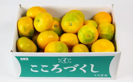 [訳あり 規格外品] ハウスみかん 約3kg 【今村農園】夏 果物 フルーツ 数量限定 期間限定 九州 大分県 ＜107-001＞