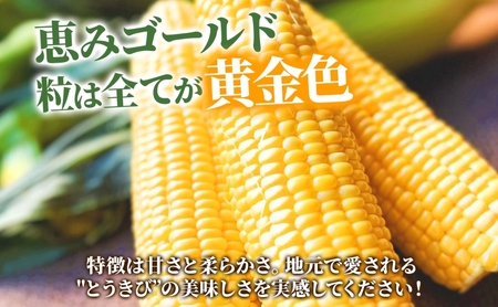 北海道産 とうもろこし 恵味 ゴールド 2L 18本 朝採り とうもろこし