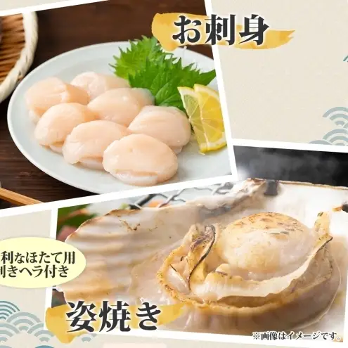 北海道産 活ほたて 2年貝 約4kg 30枚～45枚 2027年1月中旬以降水揚げ次第出荷 ほたて 帆立 ホタテ 生 貝 魚貝 魚介 海産 海鮮 貝柱 噴火湾 刺身 送料無料 北海道 洞爺湖町