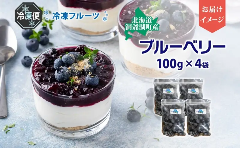 北海道産 ブルーベリー 100g×4袋 9月以降順次出荷 果物 果実 くだもの 冷凍食品 おやつ デザート ジュース ヨーグルト ジャム スイーツ 簡単 便利 一人暮らし 小分け 製菓 送料無料 冷凍 北海道 洞爺湖町