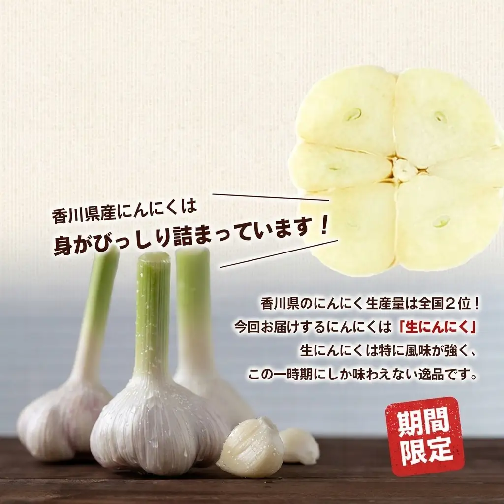 にんにく 生 土付き 香川県産 にんにく【約10kg バラ詰め】 【46312210】