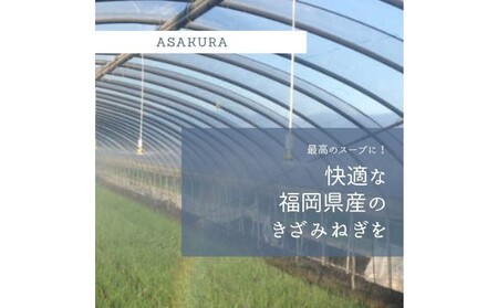 野菜 カット ねぎ 3kg（1kg×3袋）長ネギ 配送不可エリア有り 