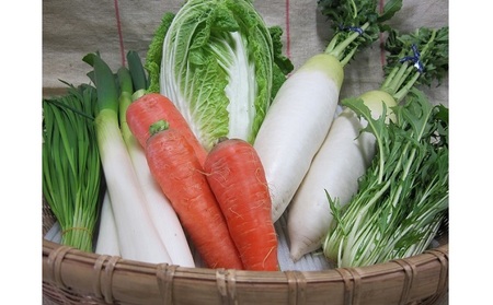 野菜セット おまかせ 10～15種 旬 朝倉市産 野菜セット