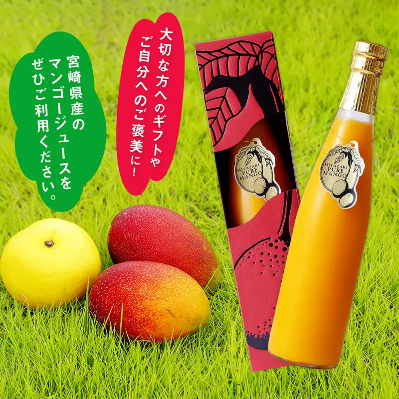 マンゴー ジュース 極極 500ml×1本 飲料