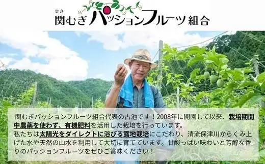 【訳あり】パッションフルーツ果実 10個