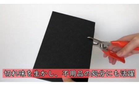 万能はさみ剣先型 　H8-91