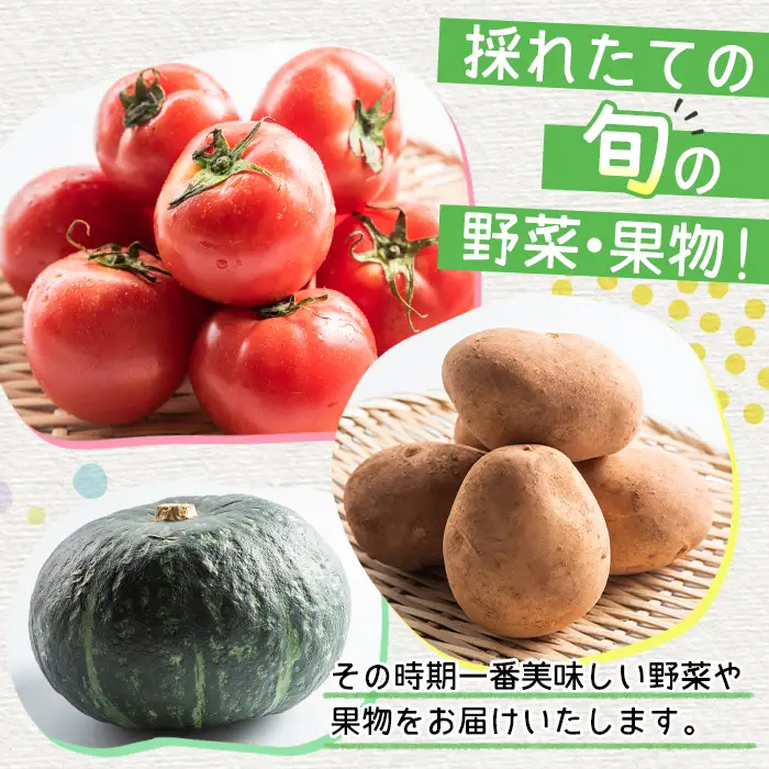 i460 旬の野菜・果物おまかせセット(8～10種類)ツルの恩返し野菜セット！鹿児島県出水市より国産野菜を市場直送！  野菜 果物 くだもの 詰め合わせ セット 国産 鹿児島県産 市場直送 旬 季節 何が届くかはお楽しみ【出水市出水駅観光特産品館 飛来里】