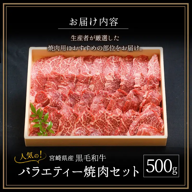 人気の宮崎県産黒毛和牛バラエティー焼肉セット 500g【B492】