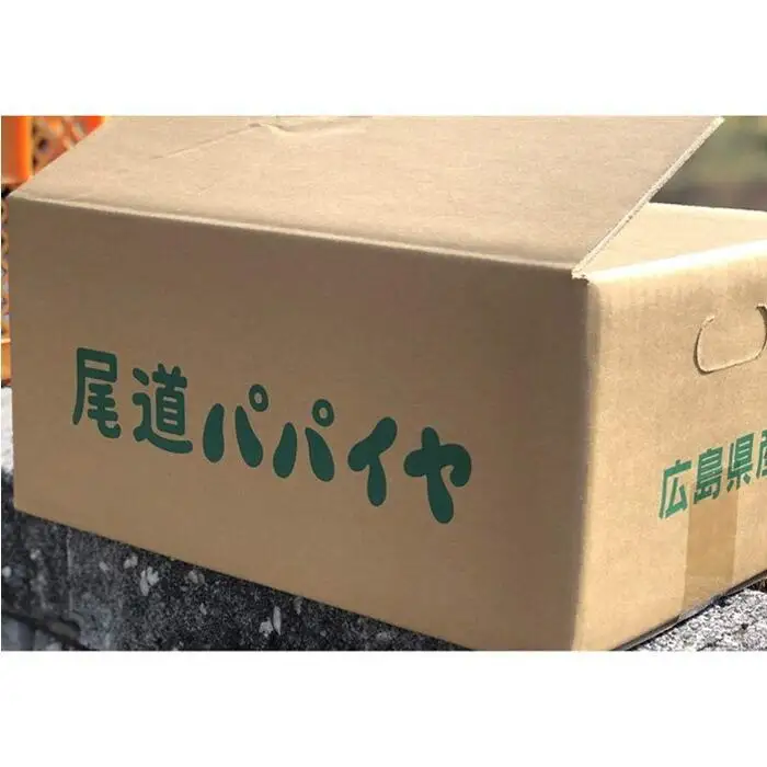 【先行予約】無農薬・有機肥料で大切に育てた 青パパイヤ【大きめパパイヤ4玉程度】（栽培期間中農薬不使用）2026年9月発送