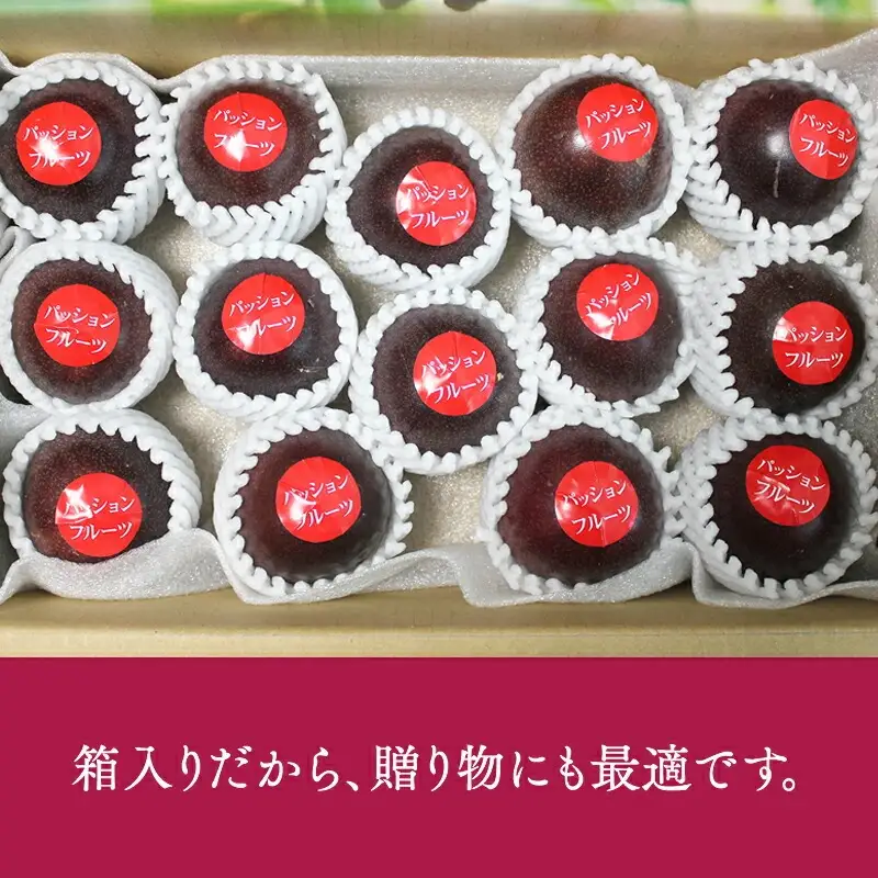 フルーツ パッションフルーツ フルーツ[《2026年発送》 数量・期間限定 Ｍサイズ 2kg 宮崎県産]